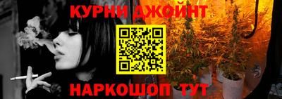 крисы Будённовск