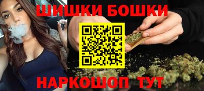 крисы Будённовск