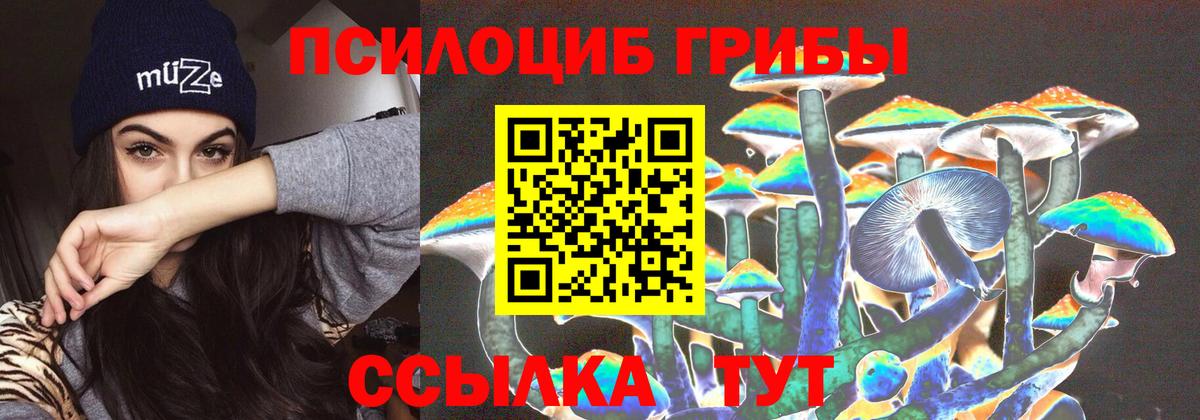 Галлюциногенные грибы мицелий  Вход с VPN  Кондопога 